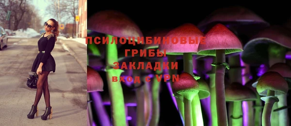 дмт Аркадак