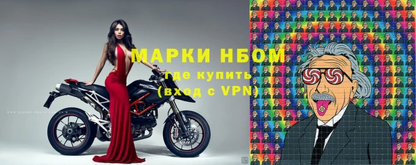 индика Дмитров