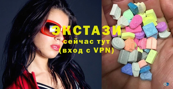 индика Дмитриев