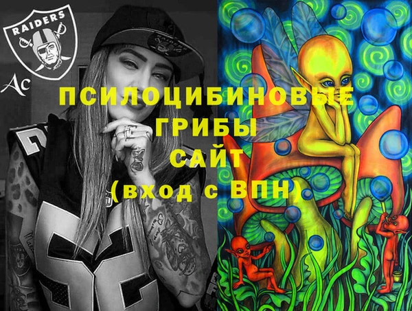 дмт Аркадак